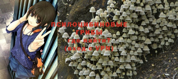 крисы Алексеевка
