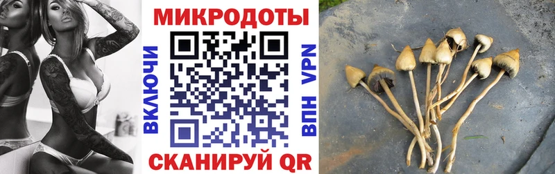 Псилоцибиновые грибы Magic Shrooms  Курлово 